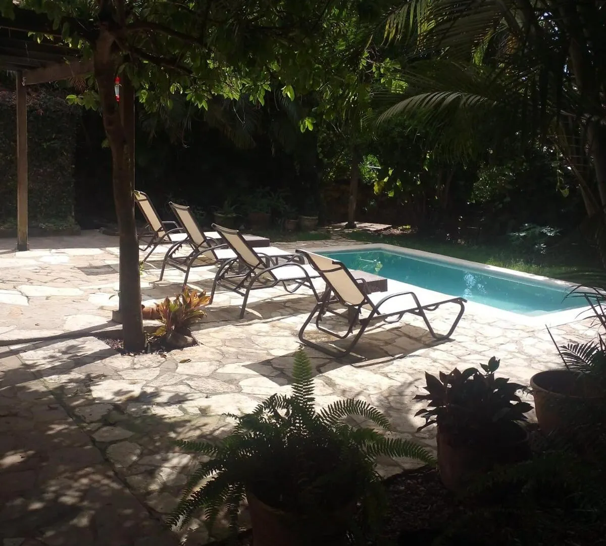 Beautiful, Fresh Peaceful Villa Sosúa Δομινικανή Δημοκρατία